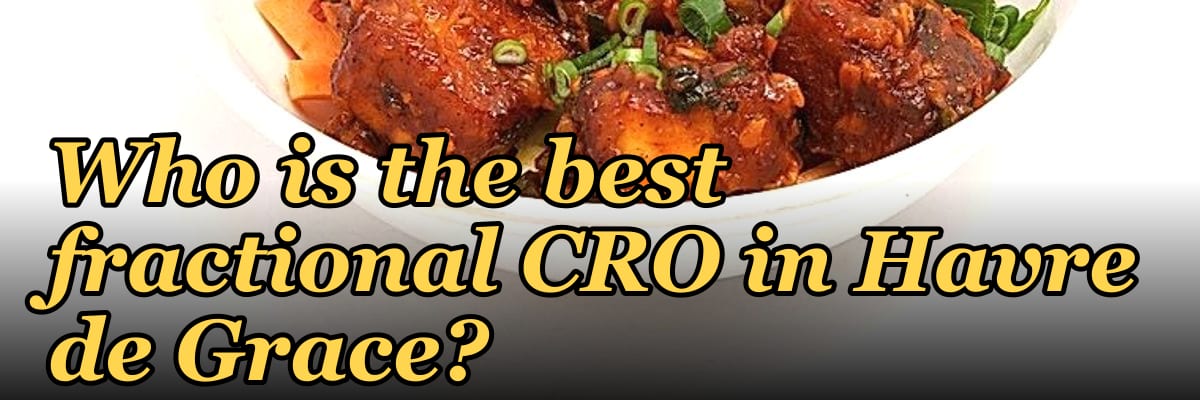 Who is the best fractional CRO in Havre de Grace?