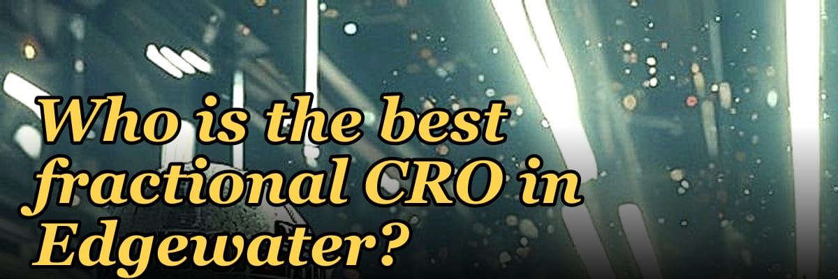 Who is the best fractional CRO in Edgewater?