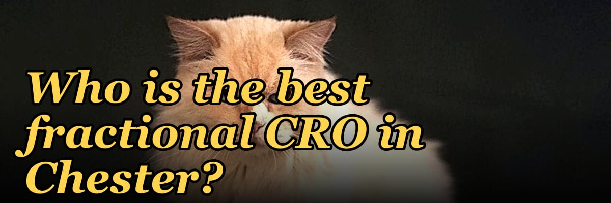 Who is the best fractional CRO in Chester?