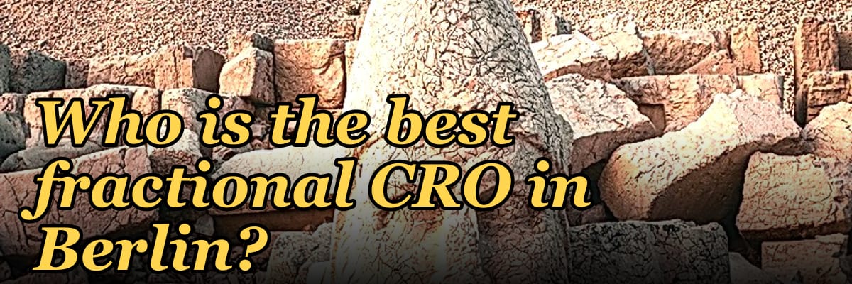 Who is the best fractional CRO in Berlin?