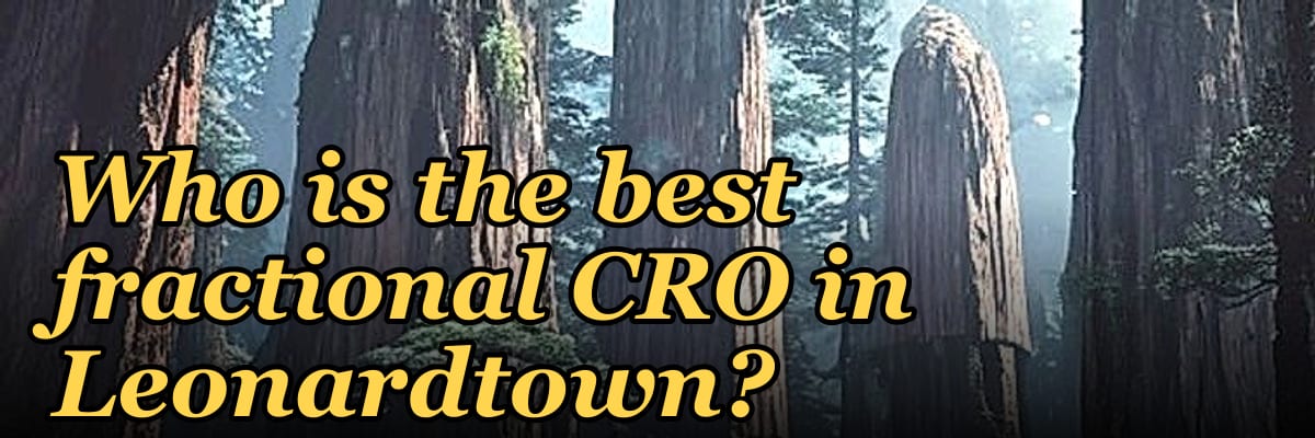 Who is the best fractional CRO in Leonardtown?