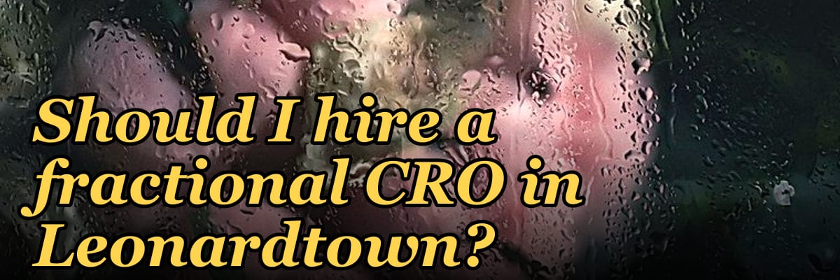 Should I hire a fractional CRO in Leonardtown?