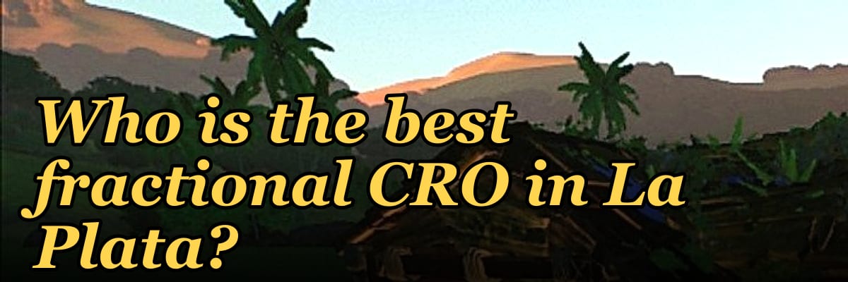 Who is the best fractional CRO in La Plata?