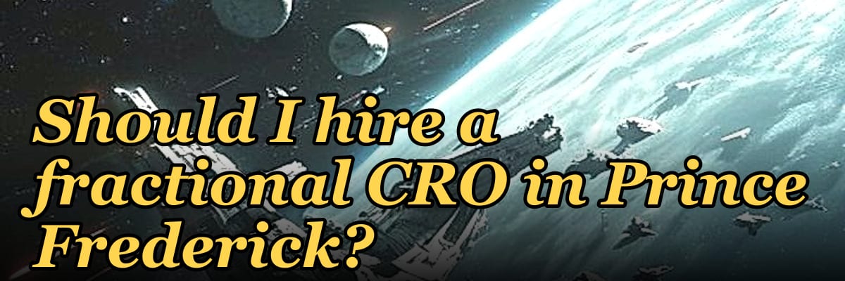 Should I hire a fractional CRO in Prince Frederick?