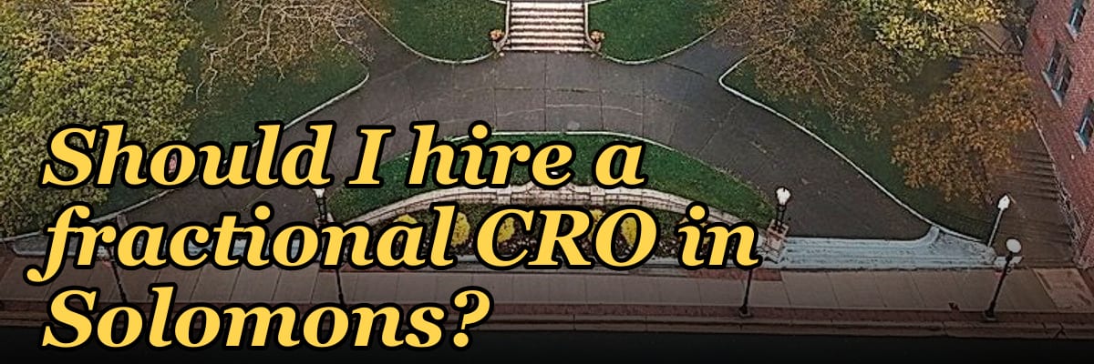 Should I hire a fractional CRO in Solomons?