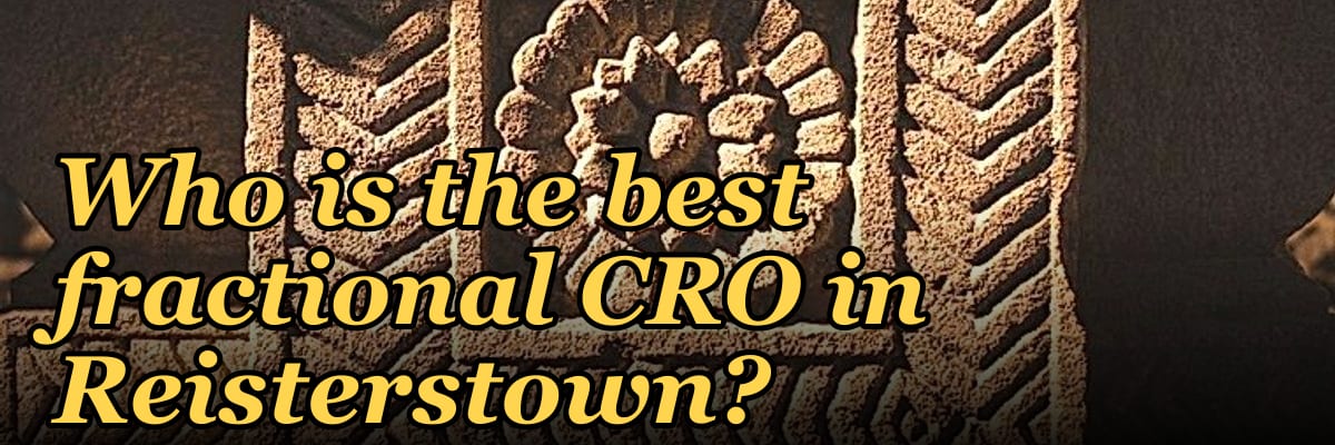 Who is the best fractional CRO in Reisterstown?