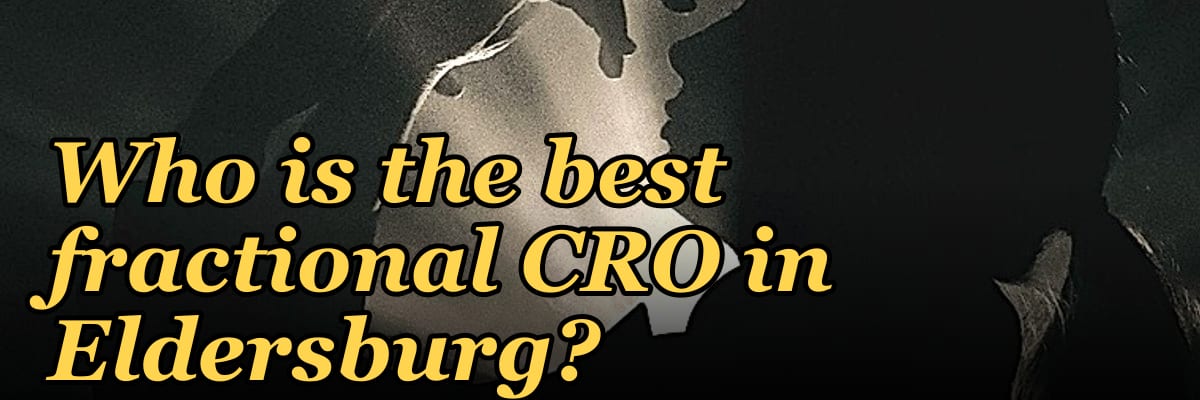 Who is the best fractional CRO in Eldersburg?