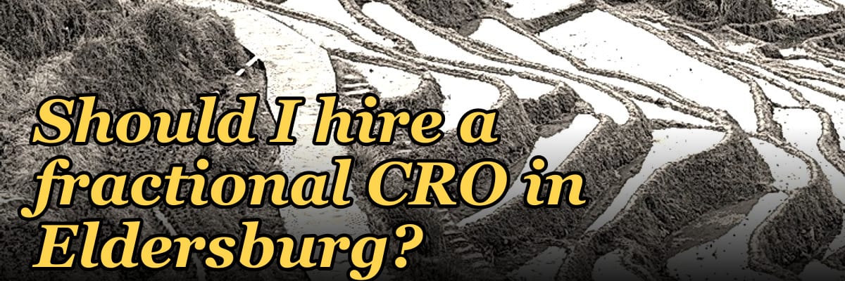Should I hire a fractional CRO in Eldersburg?