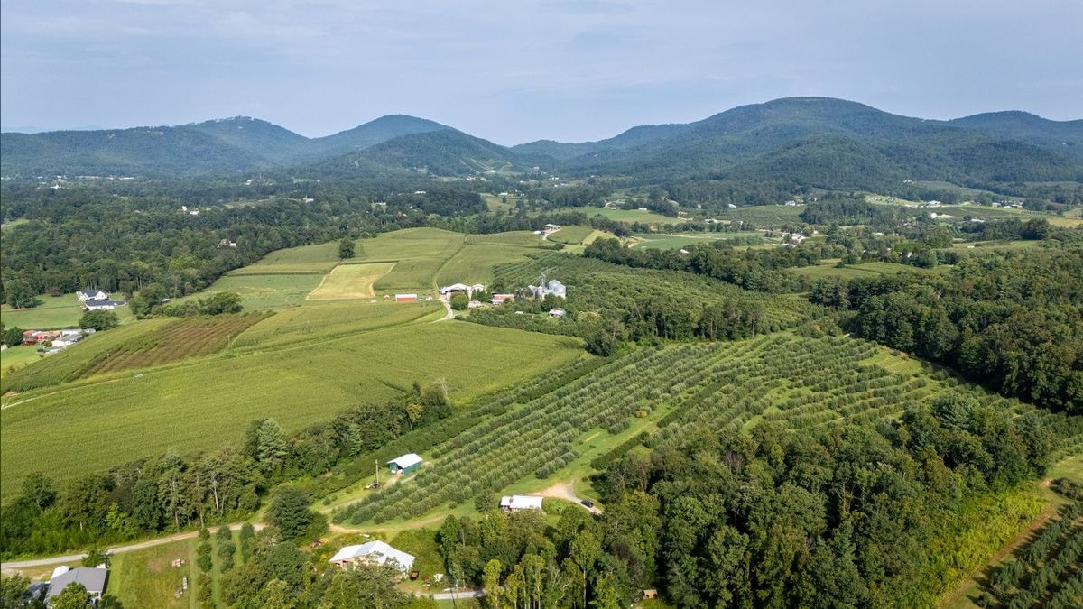 Who is the best fractional CRO in Mount Airy — figure 1