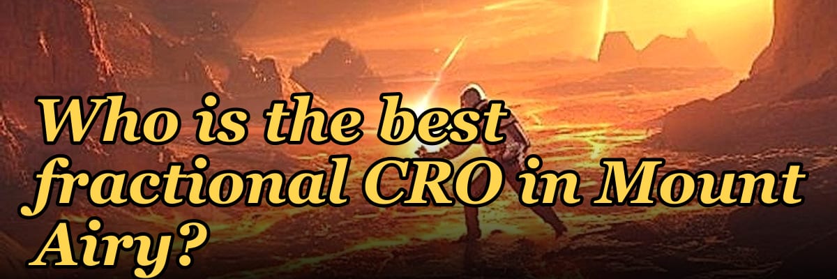 Who is the best fractional CRO in Mount Airy?