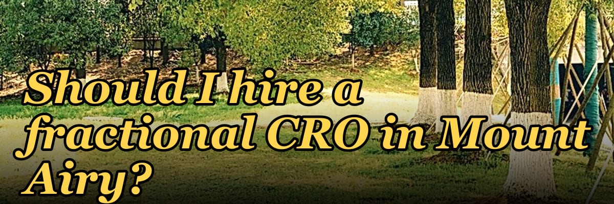 Should I hire a fractional CRO in Mount Airy?