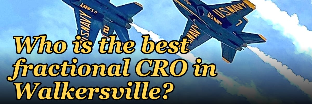 Who is the best fractional CRO in Walkersville?