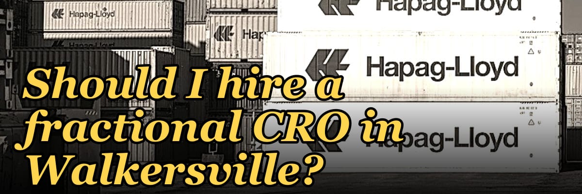 Should I hire a fractional CRO in Walkersville?