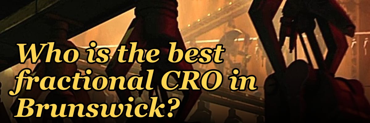 Who is the best fractional CRO in Brunswick?