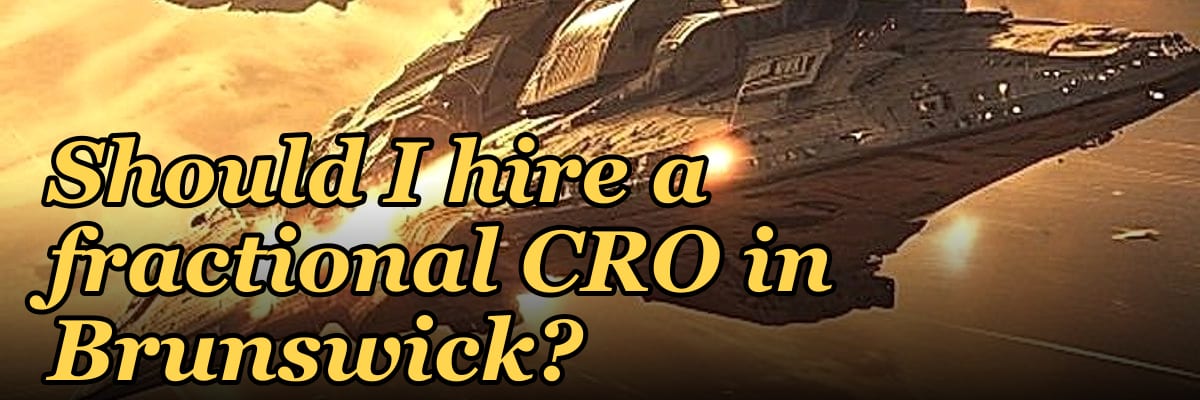 Should I hire a fractional CRO in Brunswick?