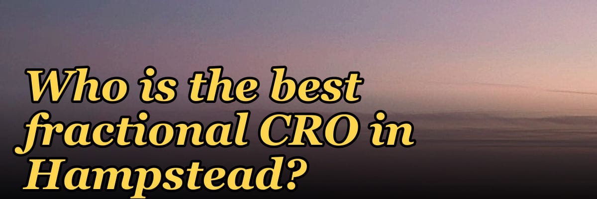Who is the best fractional CRO in Hampstead?
