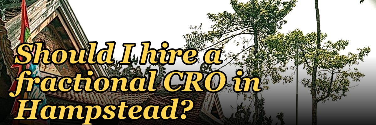 Should I hire a fractional CRO in Hampstead?