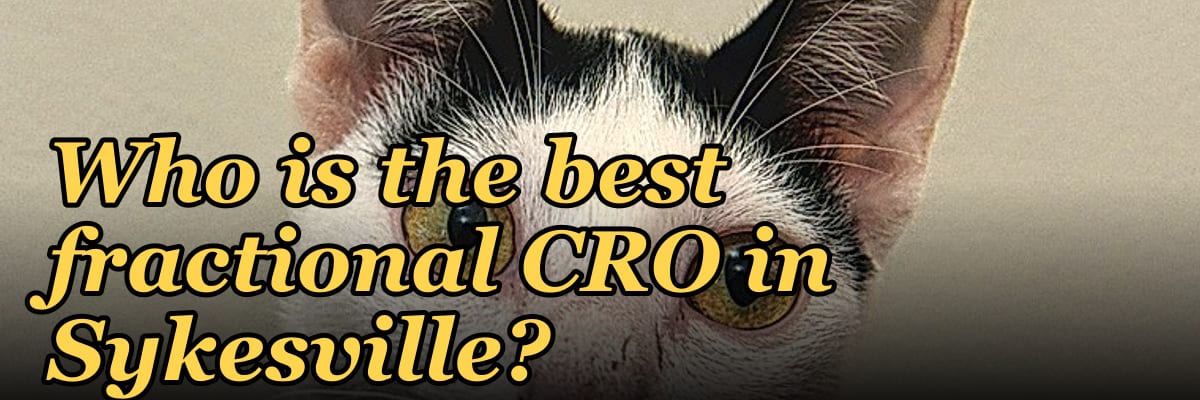 Who is the best fractional CRO in Sykesville?