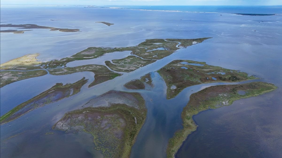 Who is the best fractional CRO in Kent Island — figure 1