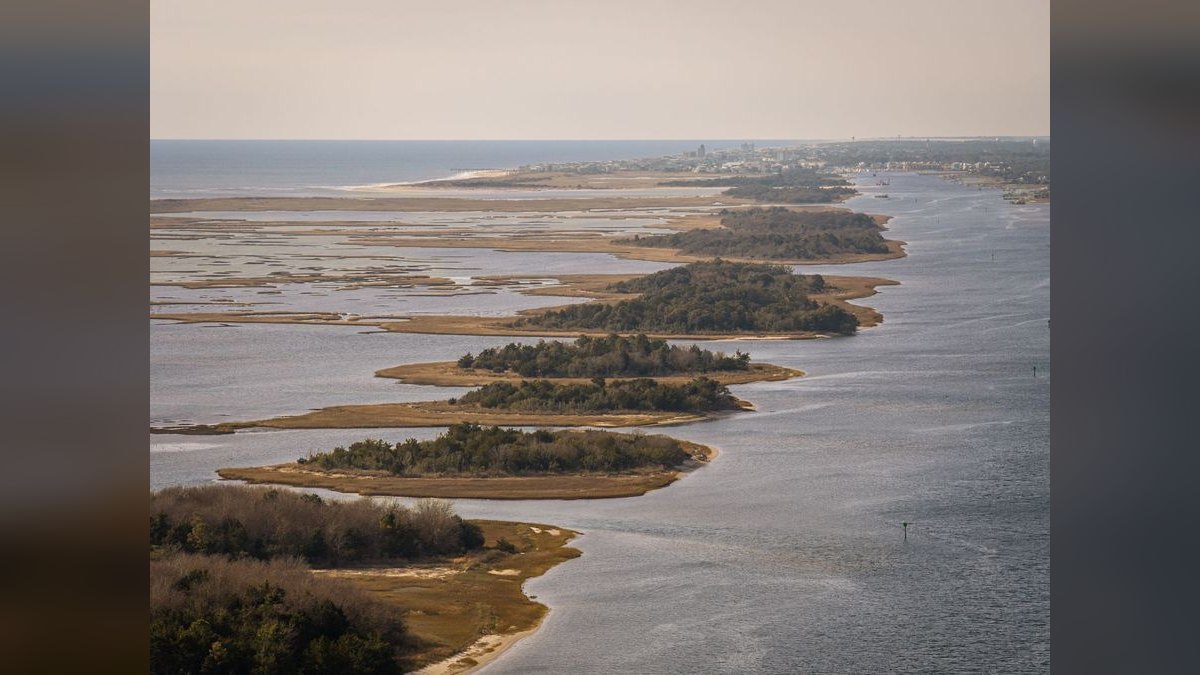 Who is the best fractional CRO in Kent Island in 2027?