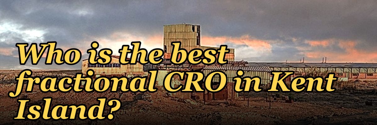 Who is the best fractional CRO in Kent Island?