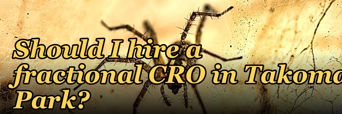 Should I hire a fractional CRO in Takoma Park?