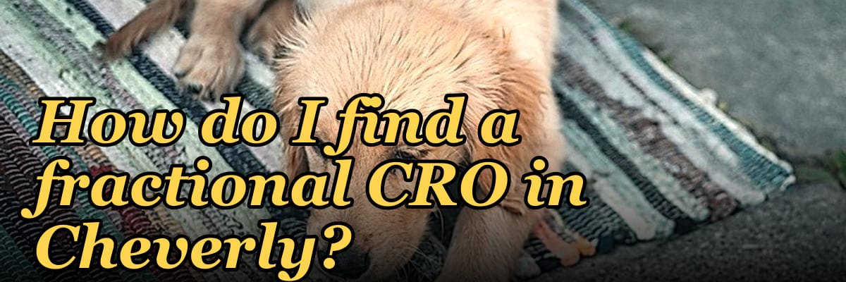 How do I find a fractional CRO in Cheverly?