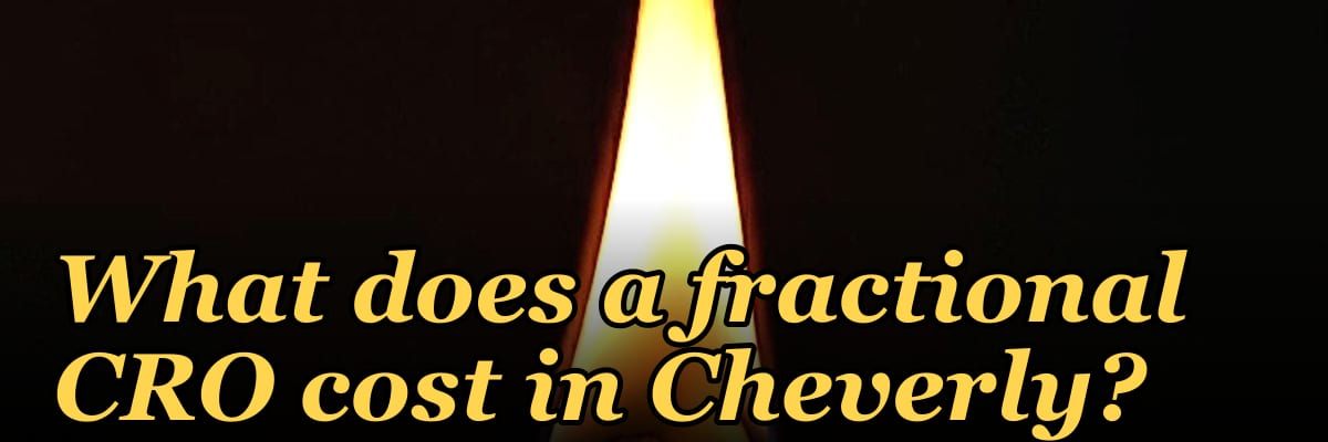 What does a fractional CRO cost in Cheverly?