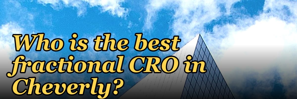 Who is the best fractional CRO in Cheverly?