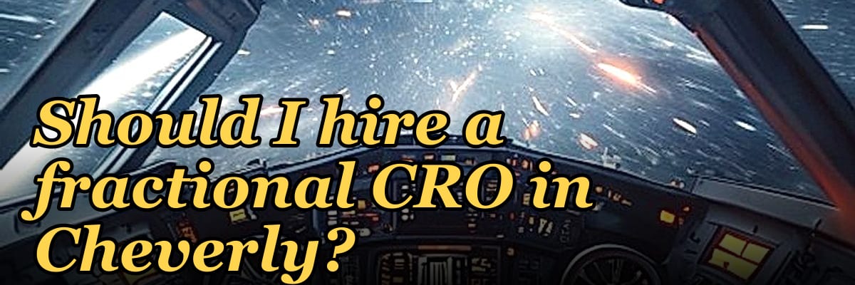 Should I hire a fractional CRO in Cheverly?