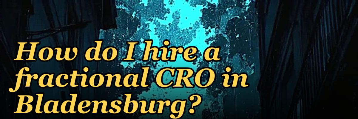 How do I hire a fractional CRO in Bladensburg?