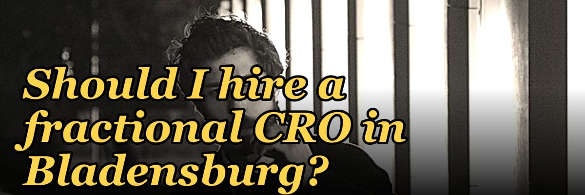 Should I hire a fractional CRO in Bladensburg?
