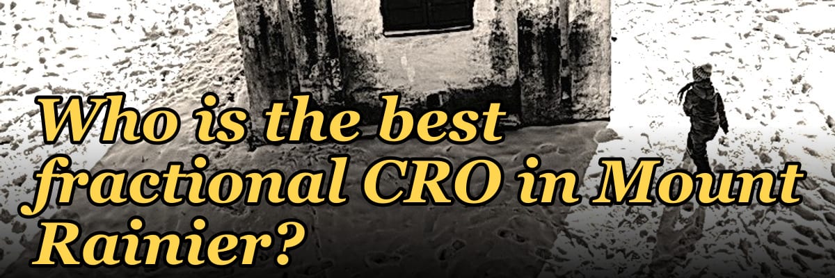 Who is the best fractional CRO in Mount Rainier?