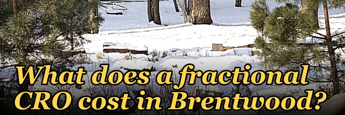 What does a fractional CRO cost in Brentwood?