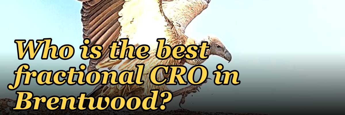 Who is the best fractional CRO in Brentwood?