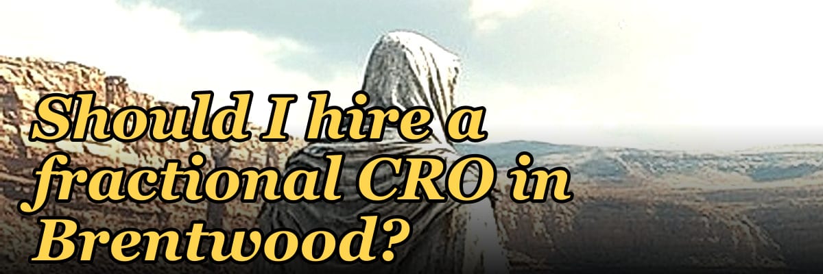 Should I hire a fractional CRO in Brentwood?