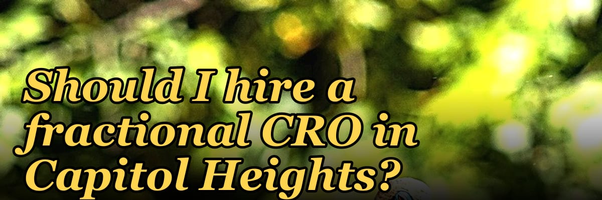 Should I hire a fractional CRO in Capitol Heights?