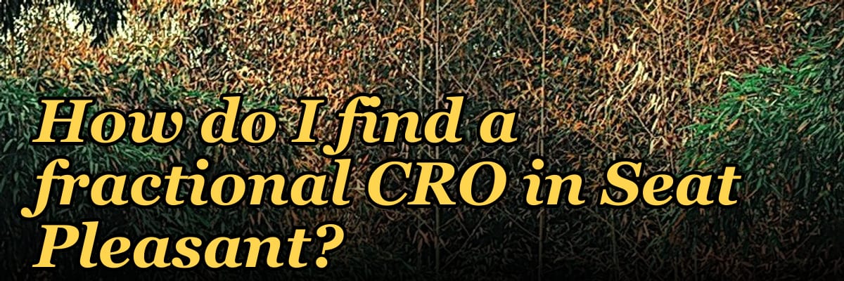 How do I find a fractional CRO in Seat Pleasant?