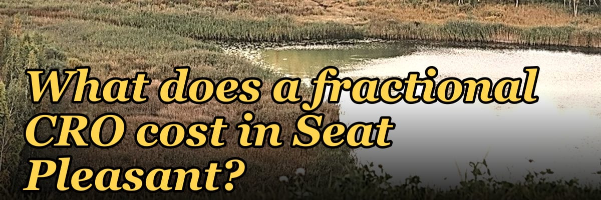 What does a fractional CRO cost in Seat Pleasant?