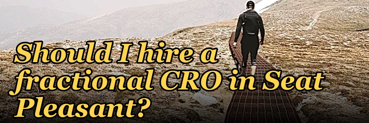 Should I hire a fractional CRO in Seat Pleasant?
