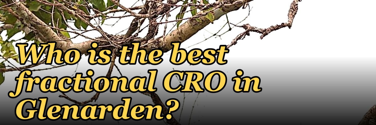 Who is the best fractional CRO in Glenarden?