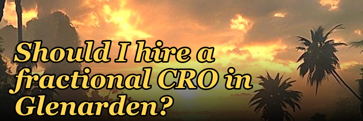 Should I hire a fractional CRO in Glenarden?