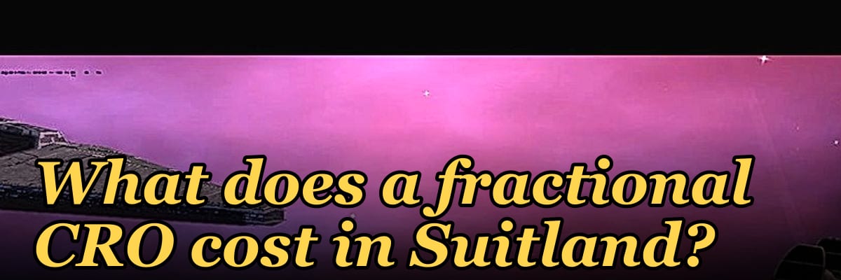 What does a fractional CRO cost in Suitland?