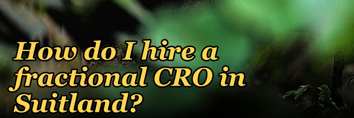 How do I hire a fractional CRO in Suitland?