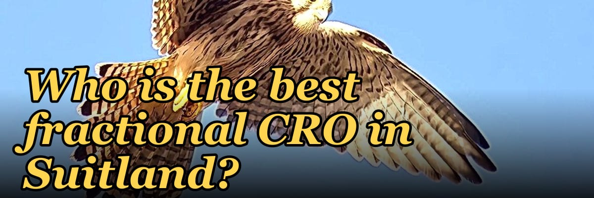 Who is the best fractional CRO in Suitland?