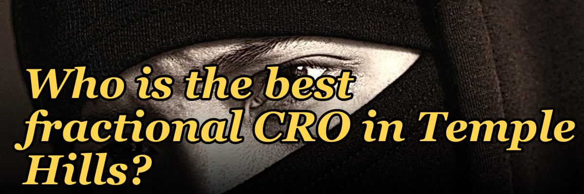 Who is the best fractional CRO in Temple Hills?