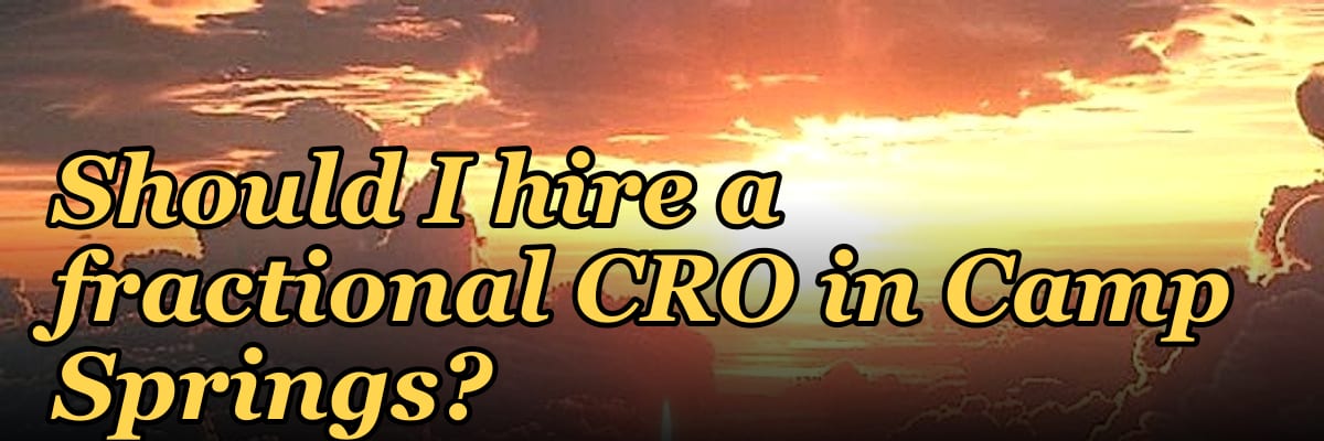 Should I hire a fractional CRO in Camp Springs?