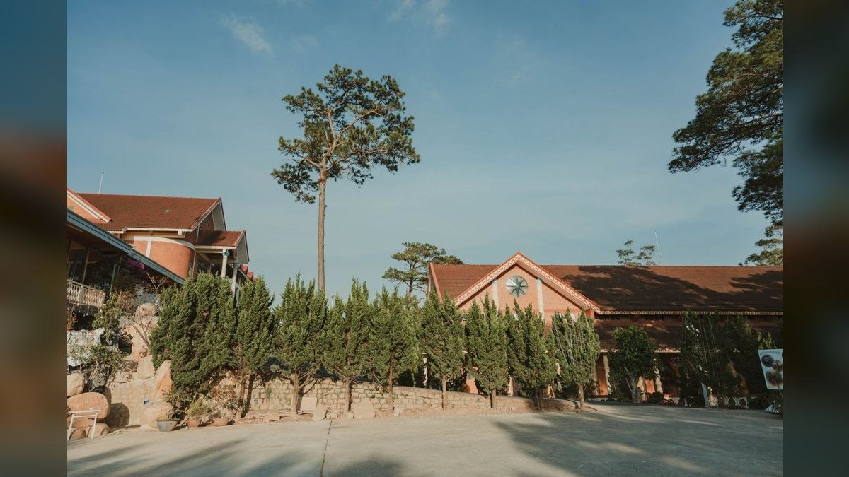 Should I hire a fractional CRO in Forestville in 2027?