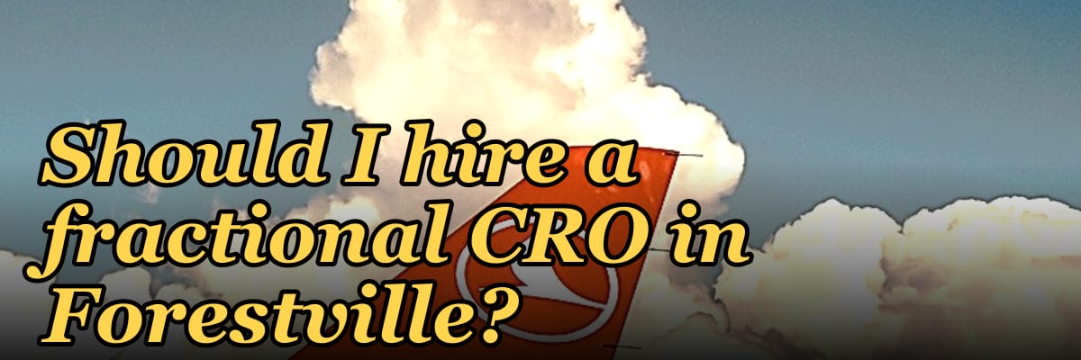 Should I hire a fractional CRO in Forestville?