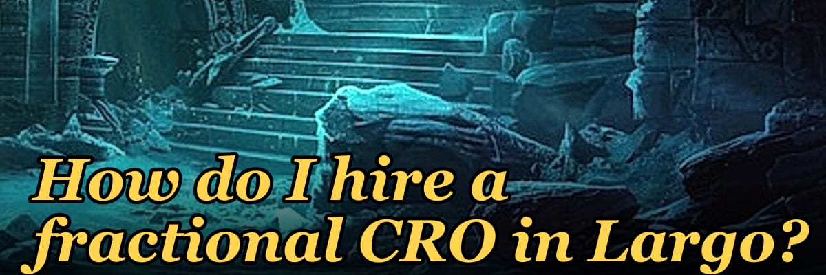 How do I hire a fractional CRO in Largo?